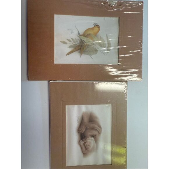Golden Parrot and Golden Retriever Art Lithograph Print Framed Signed Harrison - Picture 1 of 5